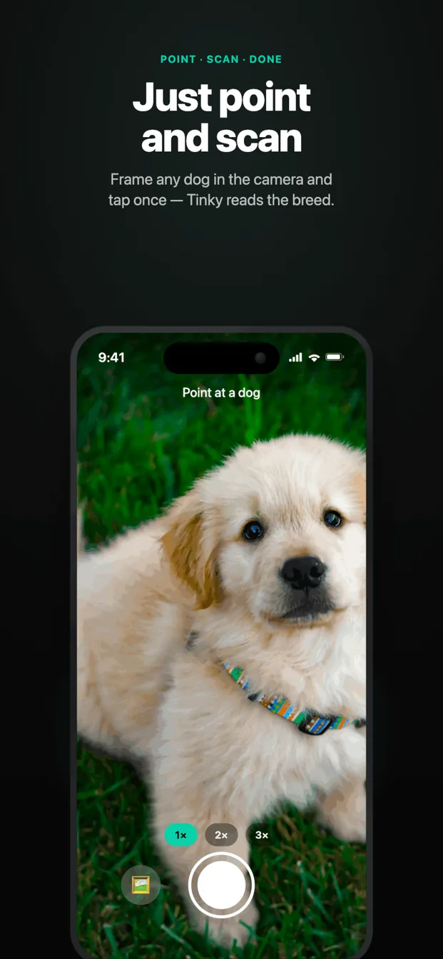 Tinky camera screen: a puppy framed in the viewfinder with one shutter button